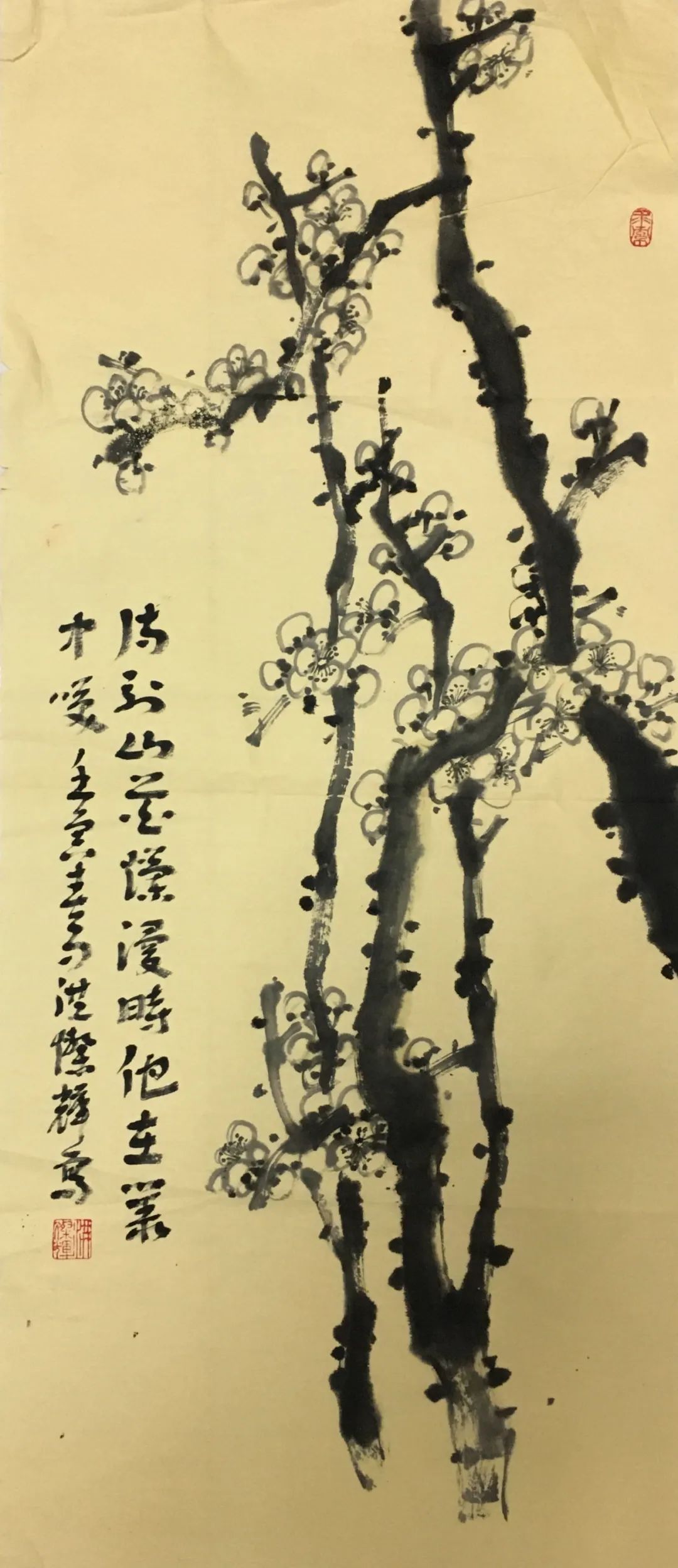 圖片