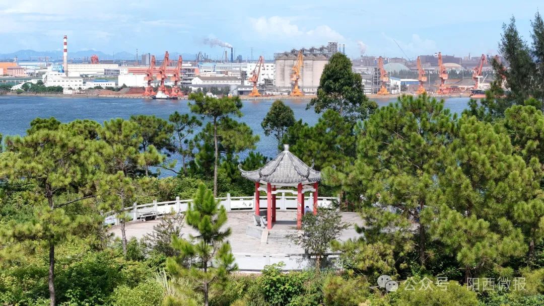 圖片