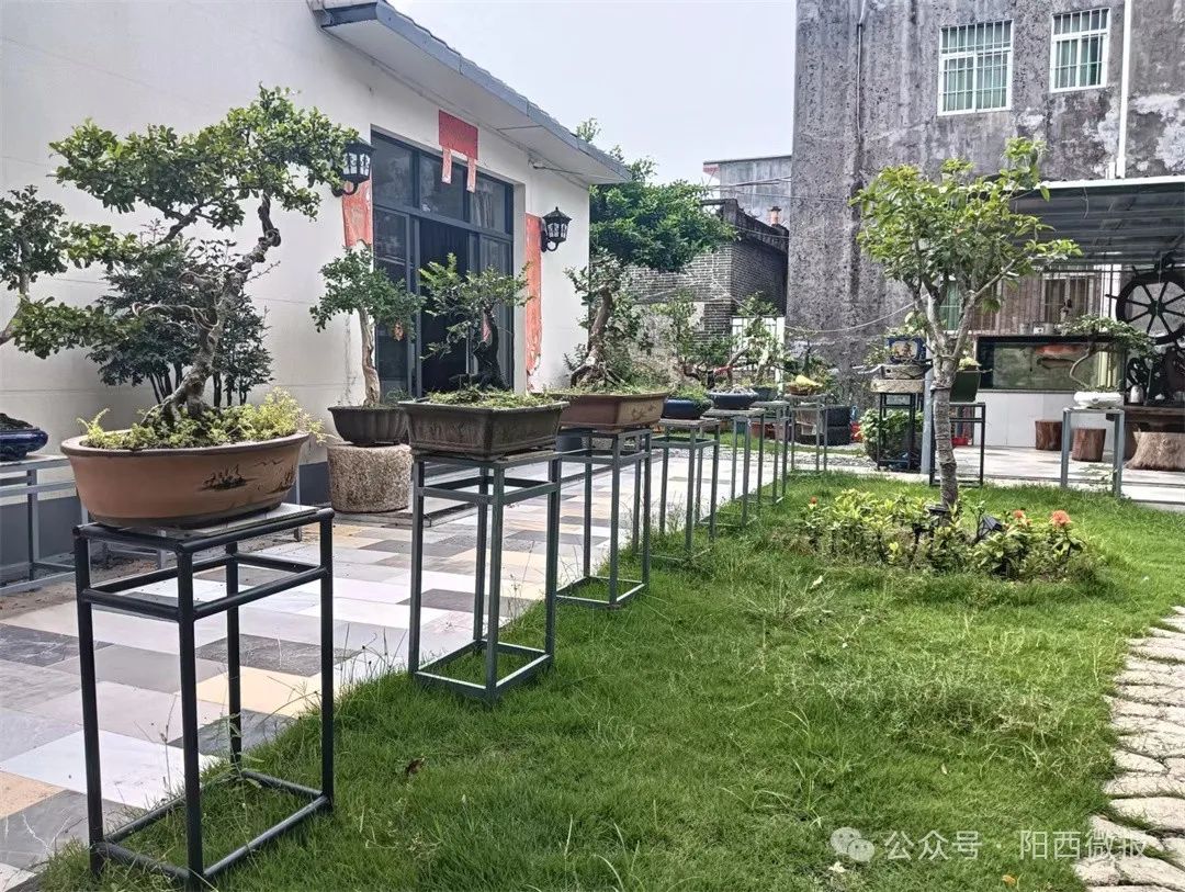 圖片