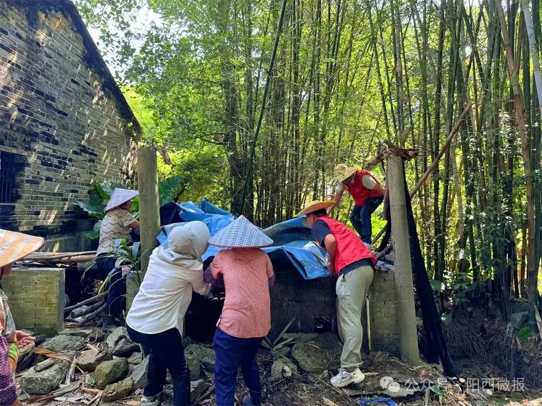 圖片