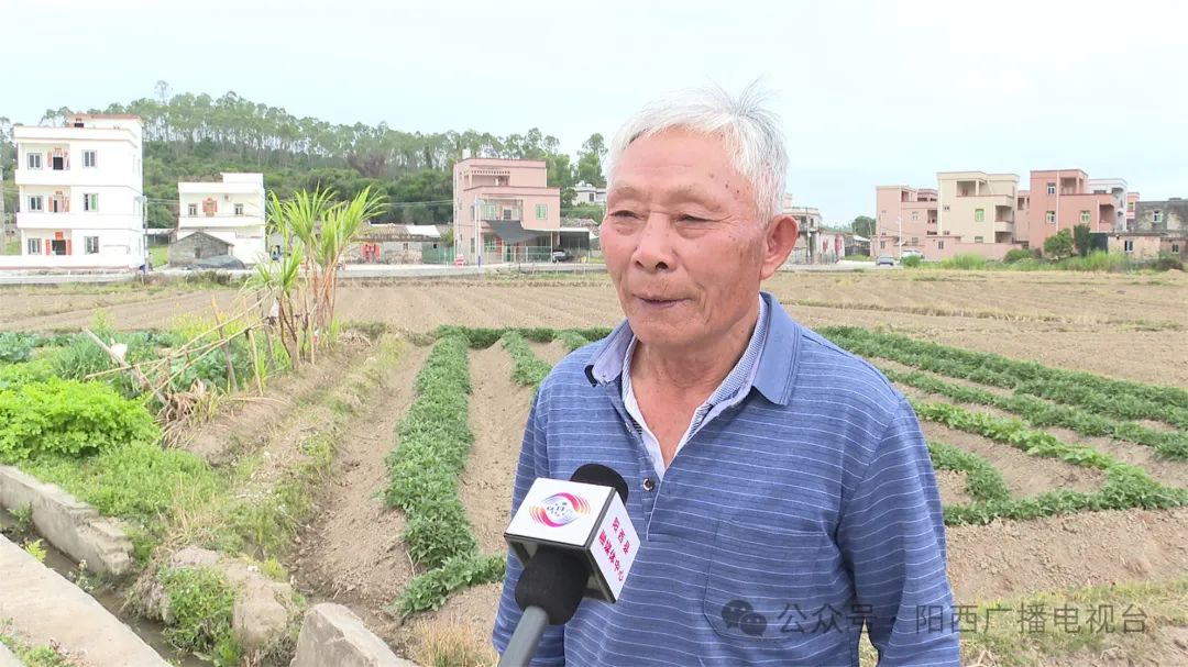 文章配圖