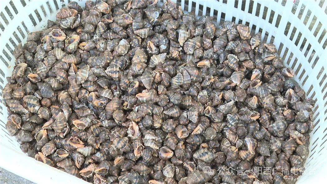 文章配圖