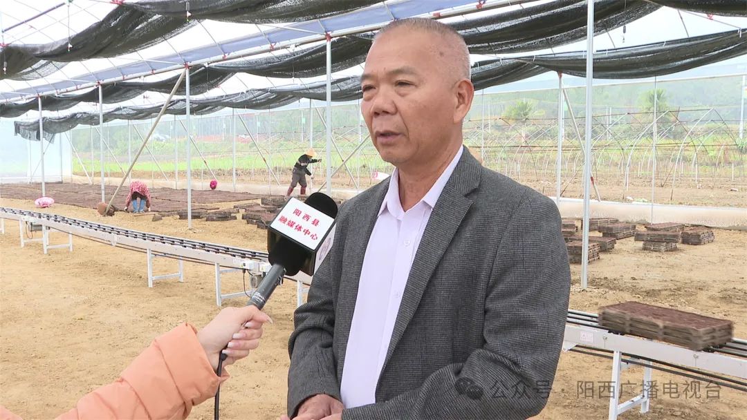 文章配圖