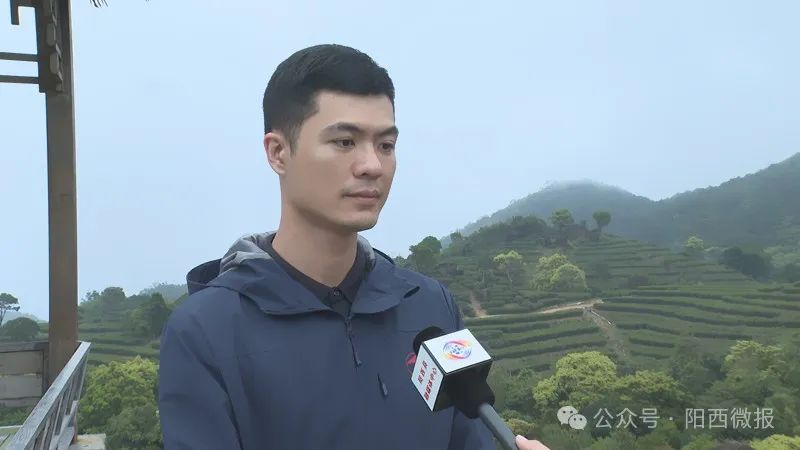 文章配圖