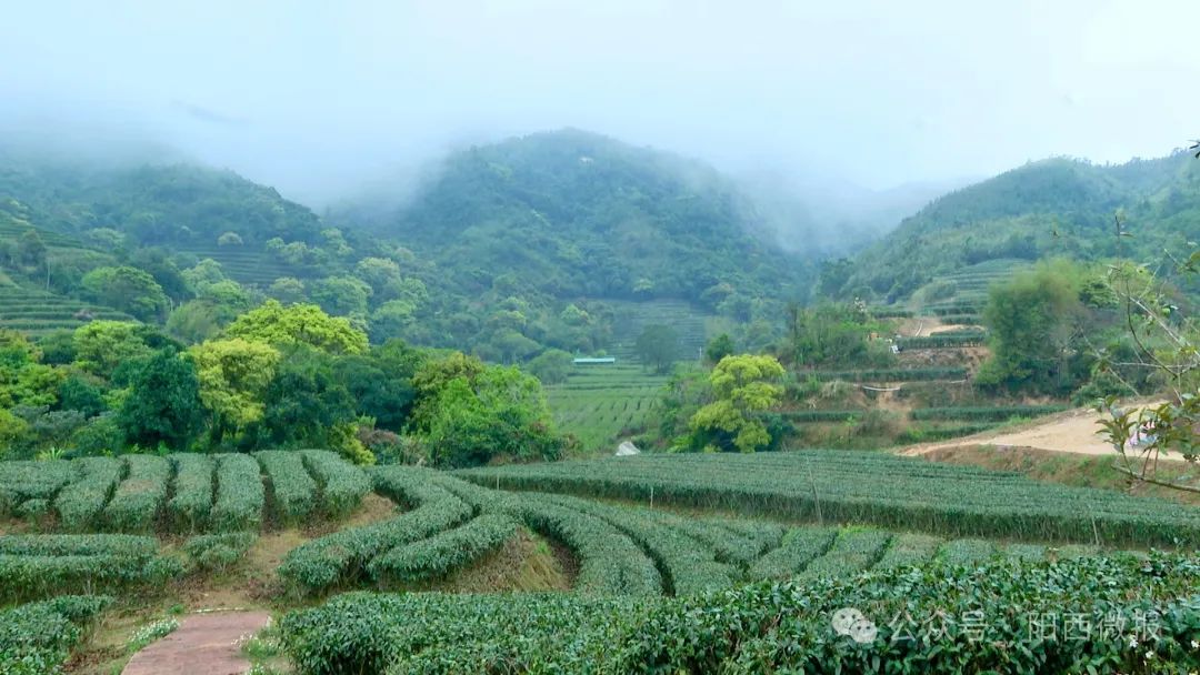 文章配圖