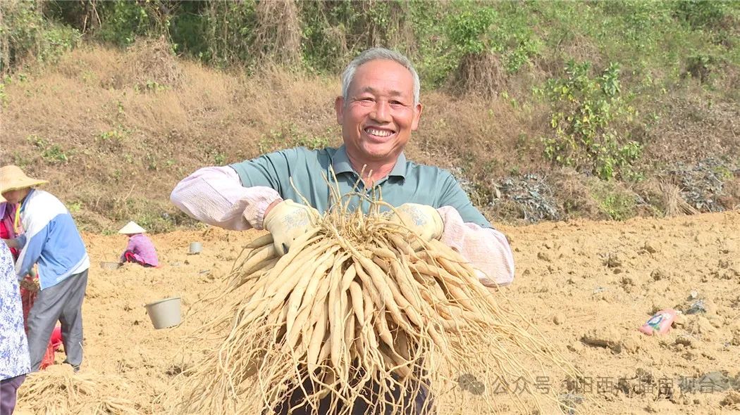 文章配圖