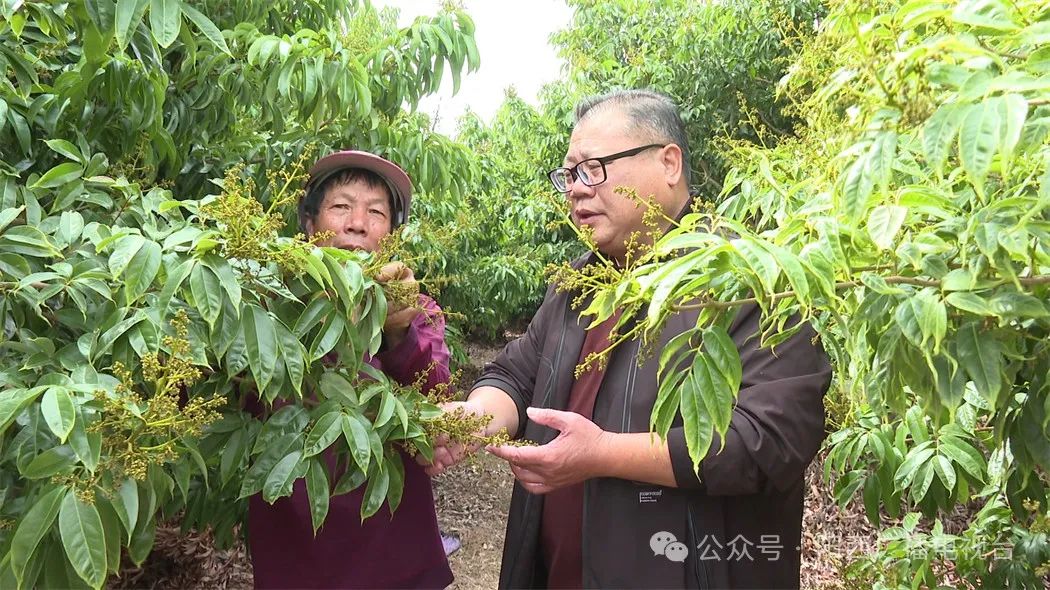 文章配圖