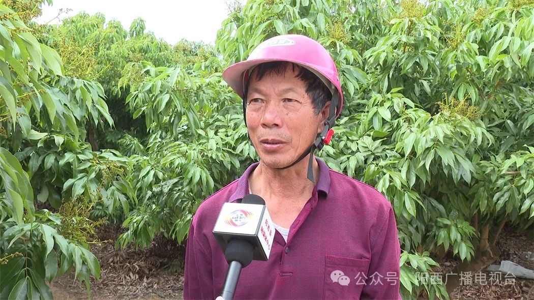 文章配圖