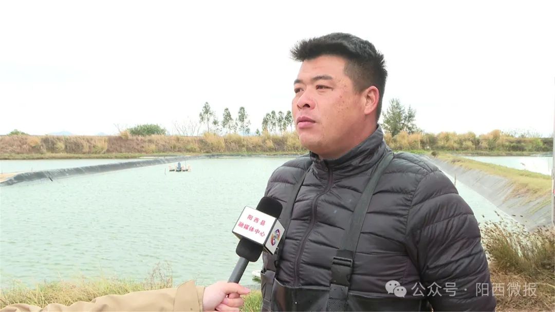 文章配圖