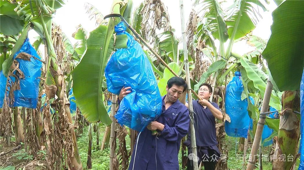文章配圖