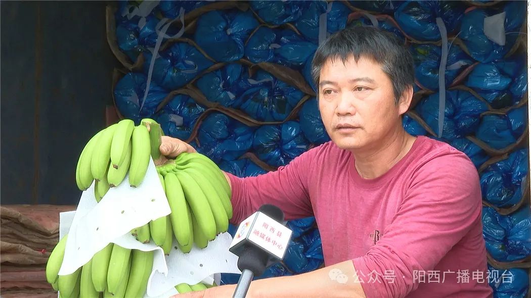 文章配圖