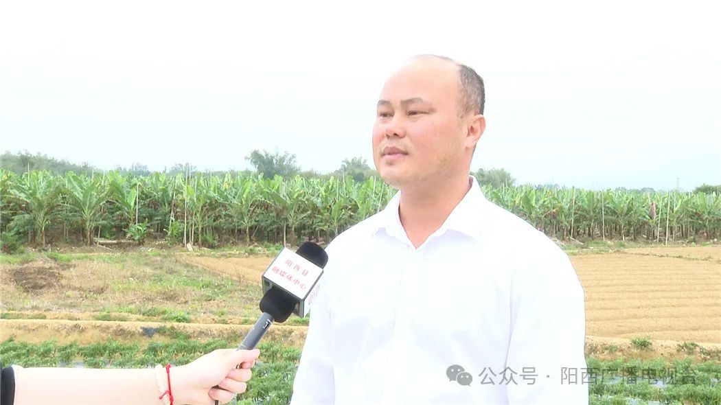 文章配圖