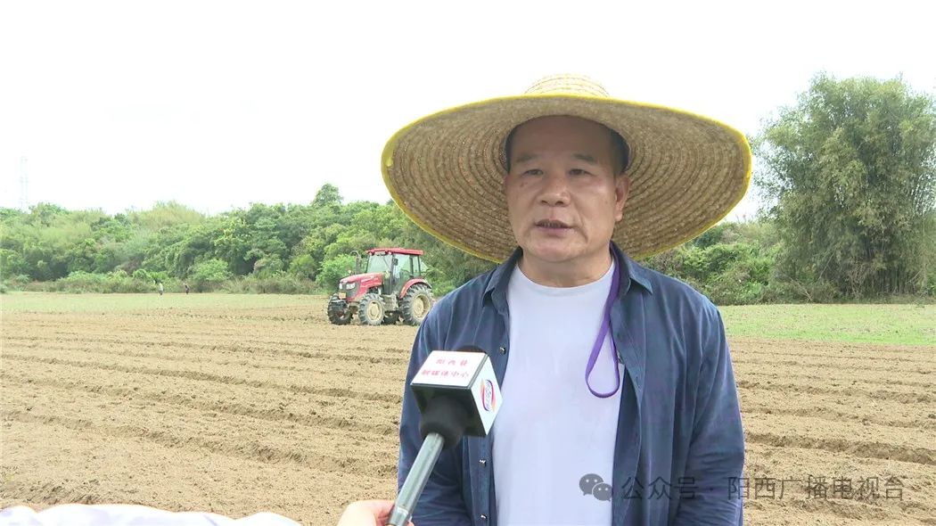 文章配圖