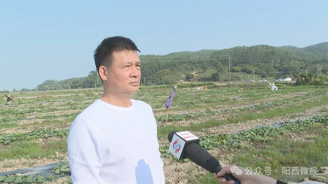 文章配圖