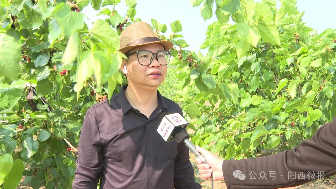 文章配圖
