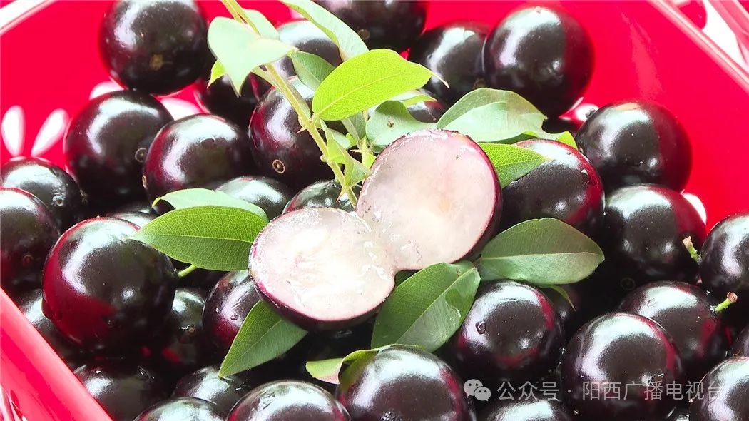 文章配圖