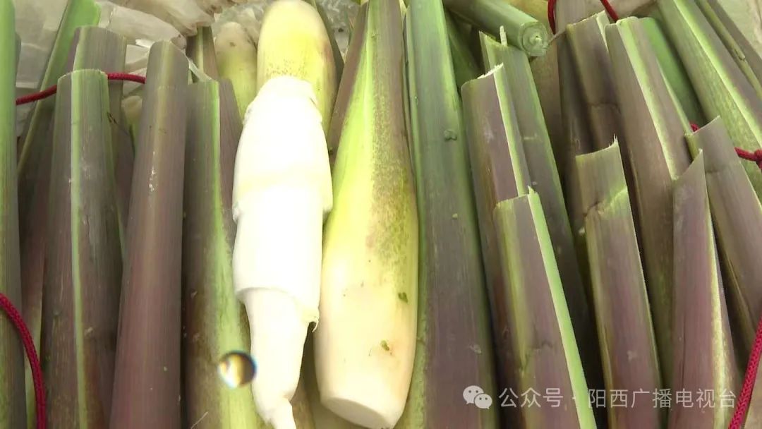 文章配圖