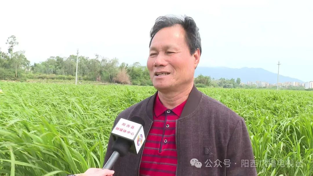 文章配圖