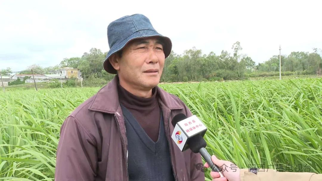 文章配圖