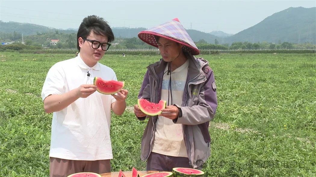 文章配圖