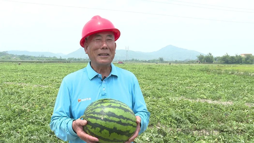 文章配圖