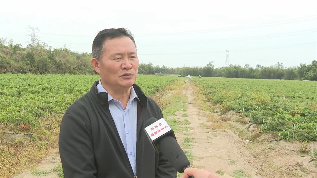 文章配圖