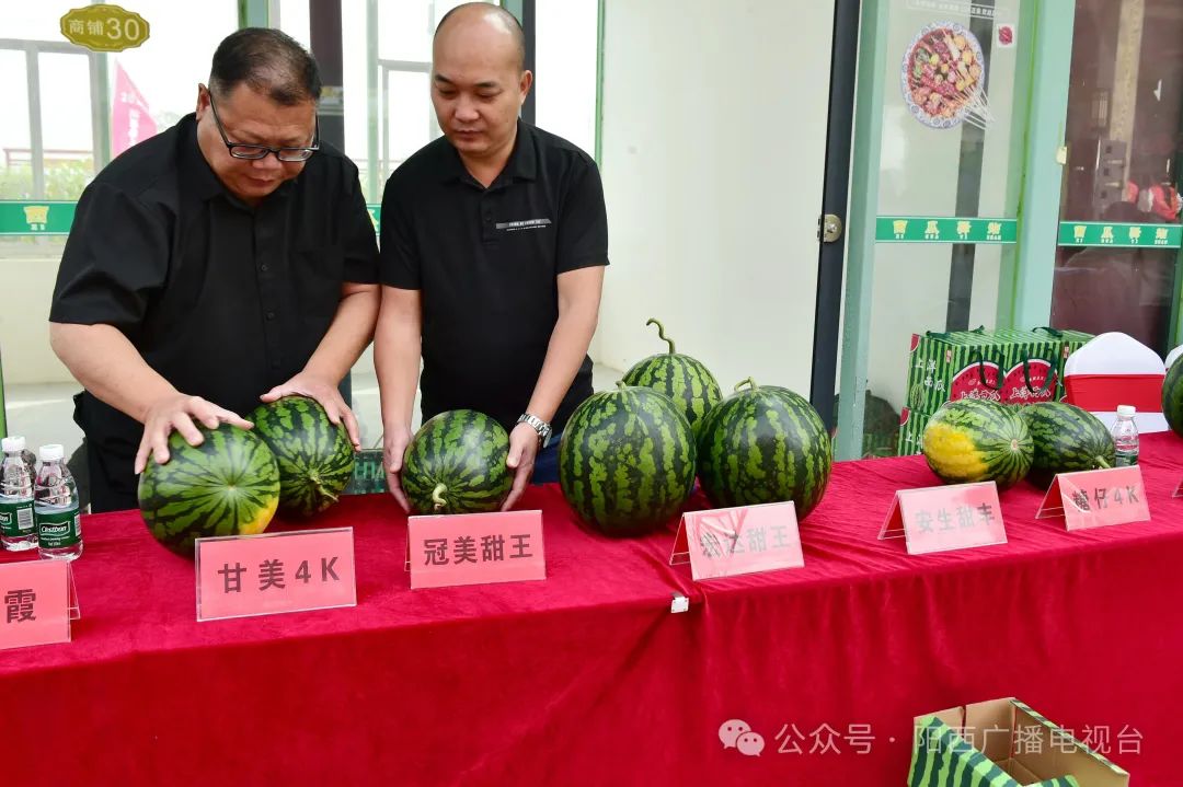 文章配圖