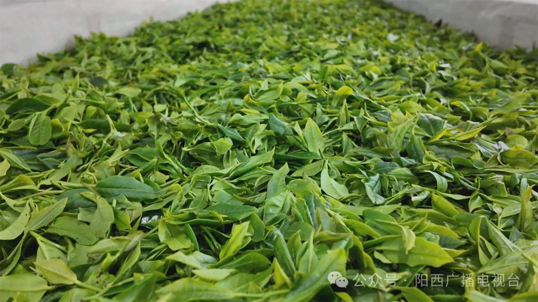 文章配圖