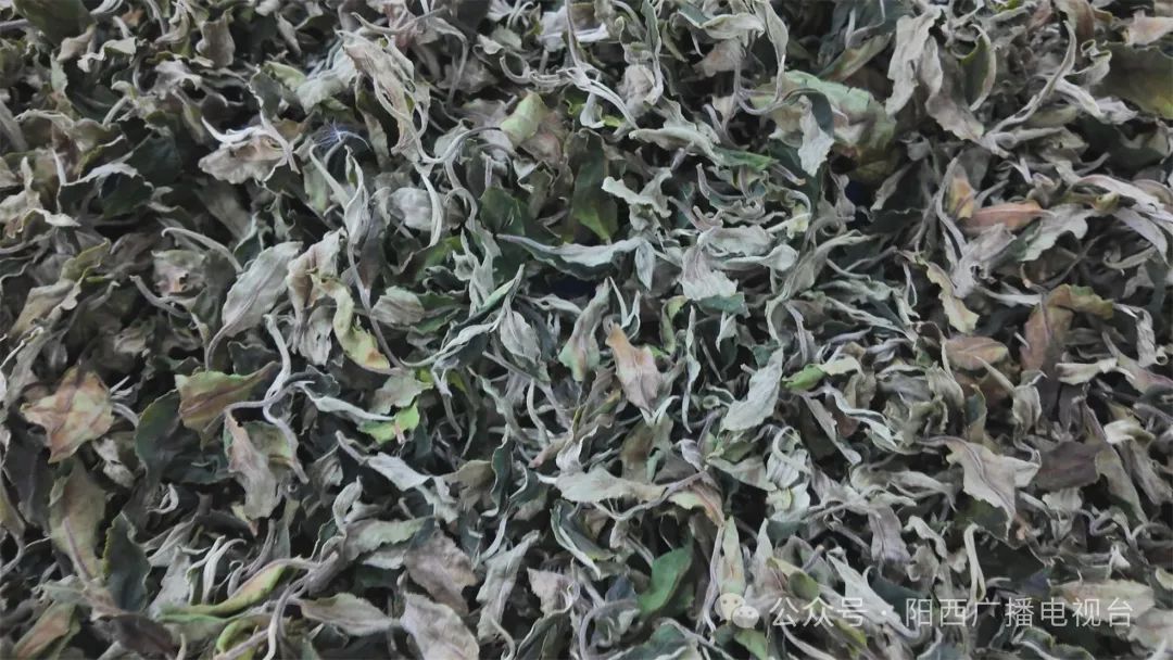 文章配圖