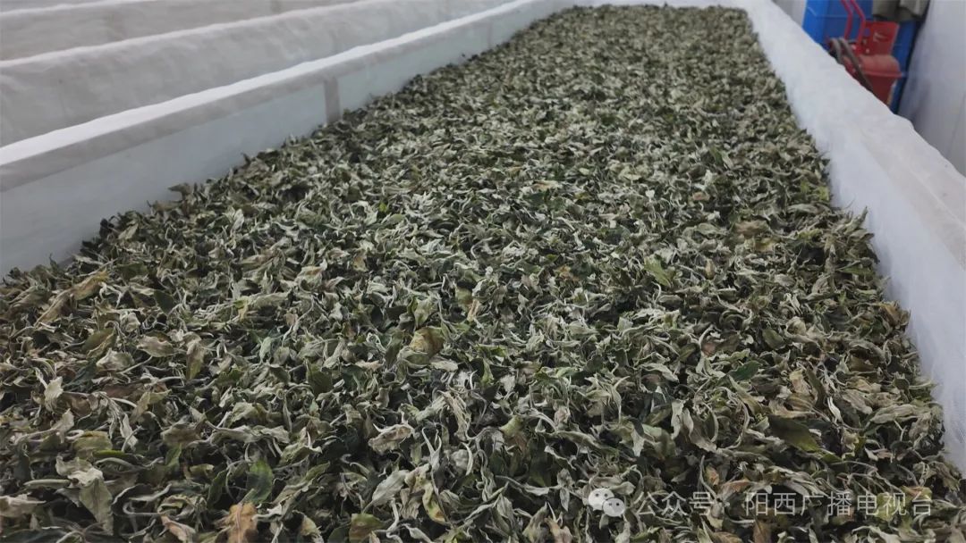 文章配圖