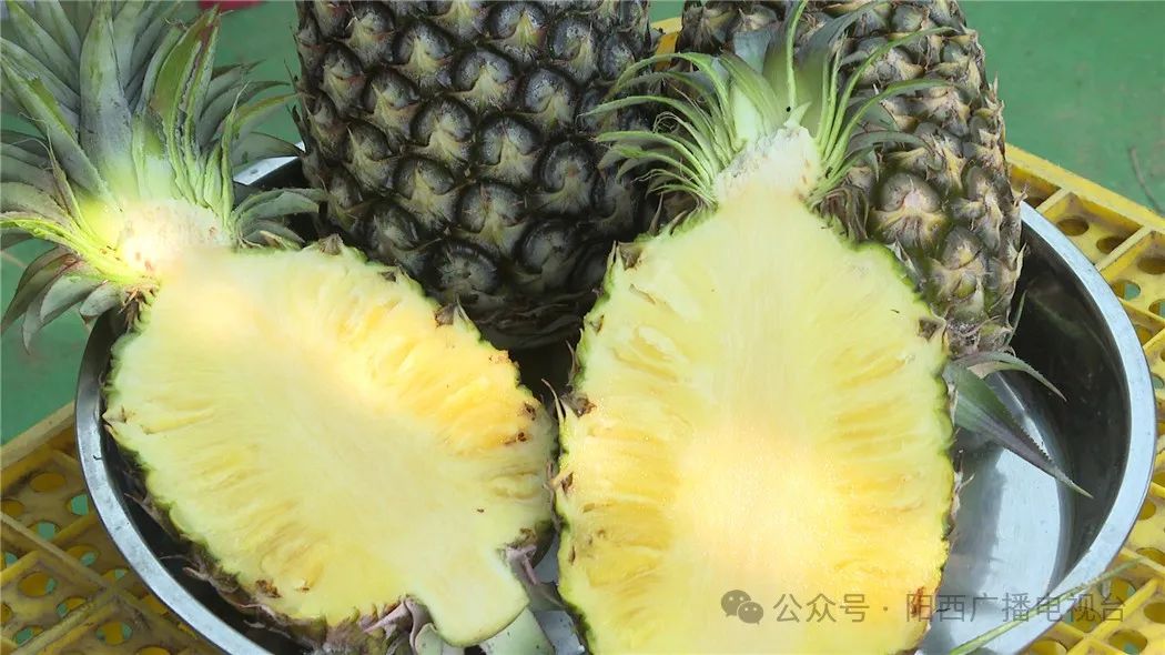 文章配圖