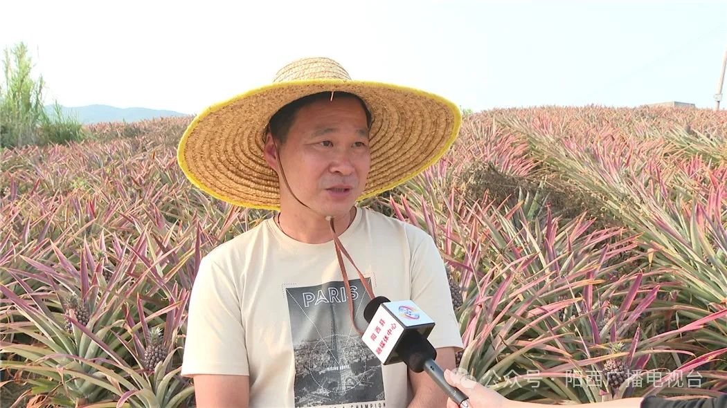 文章配圖