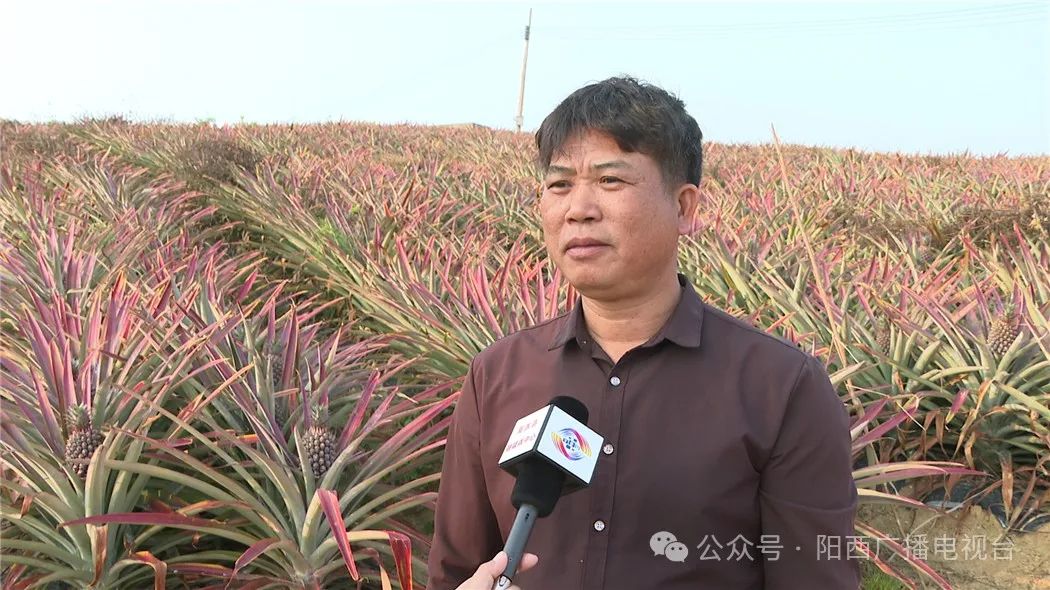 文章配圖