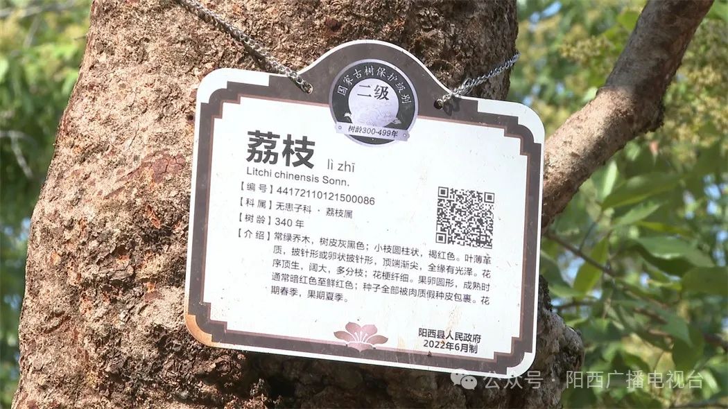 文章配圖
