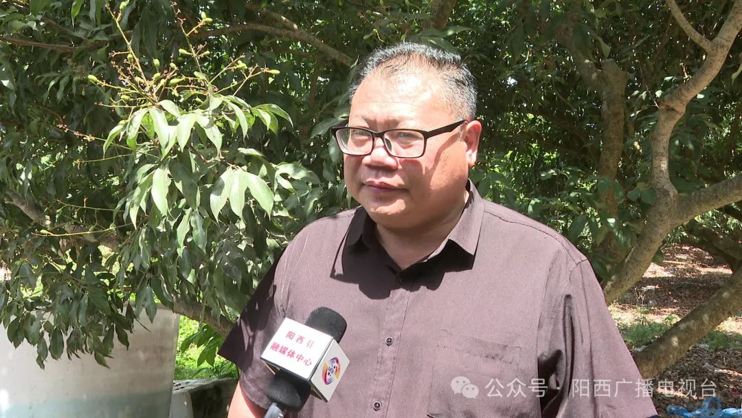 文章配圖
