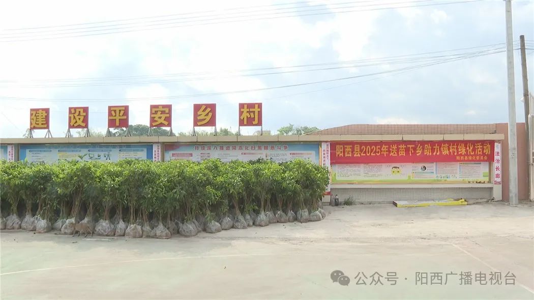 文章配圖