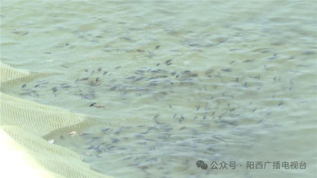 文章配圖