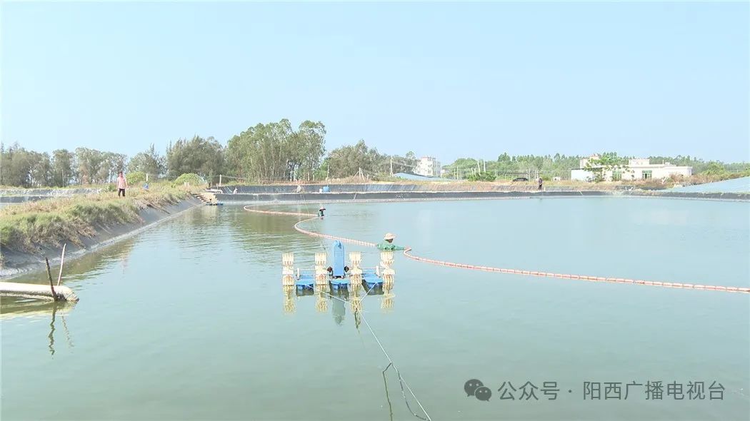 文章配圖
