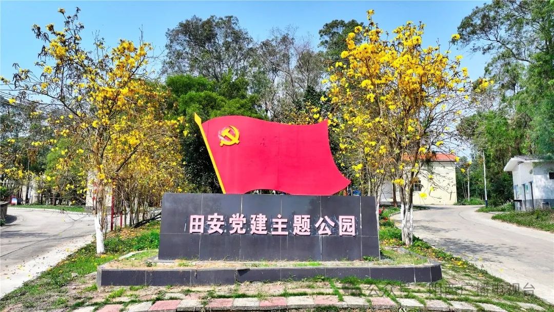 文章配圖