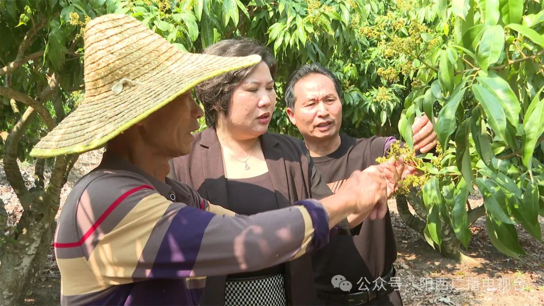 文章配圖