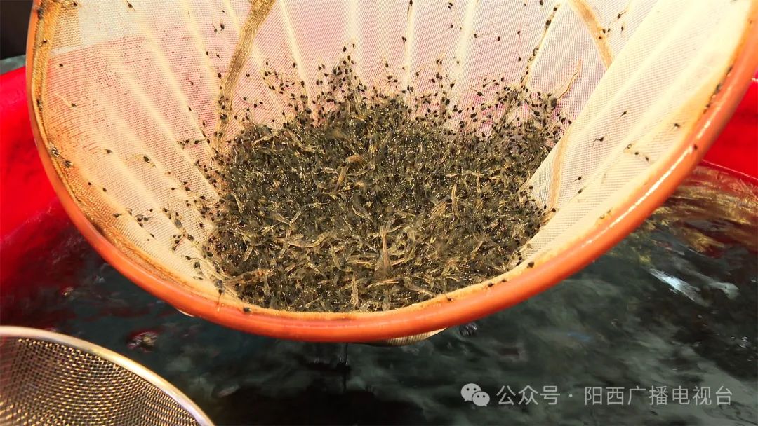 文章配圖