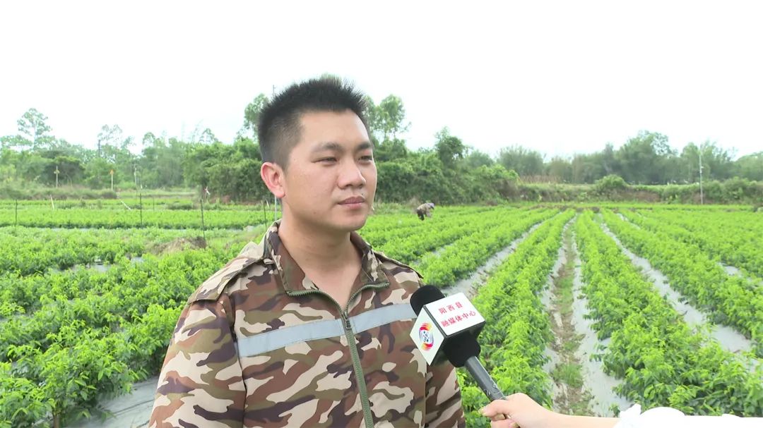 文章配圖