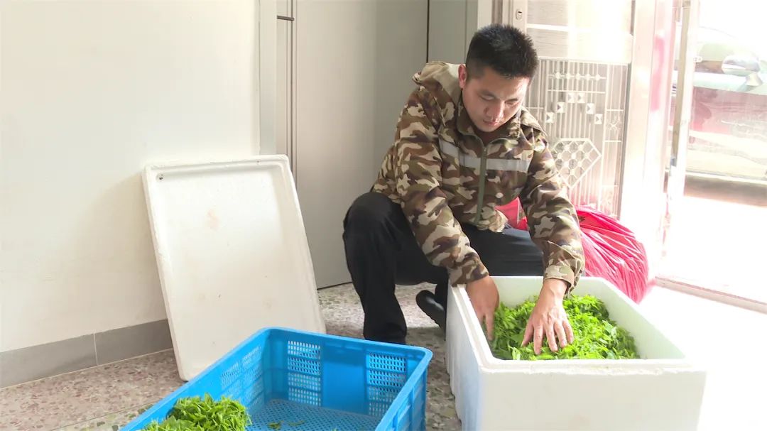 文章配圖