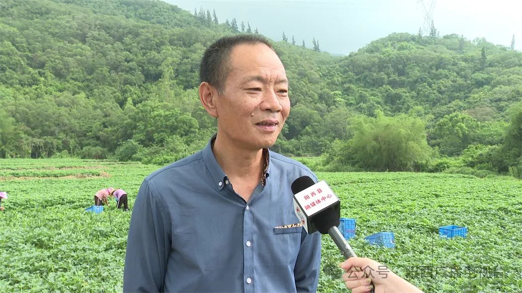 文章配圖