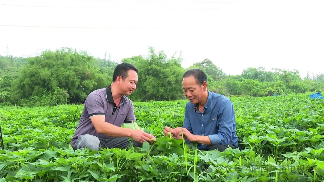 文章配圖