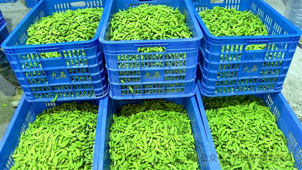 文章配圖