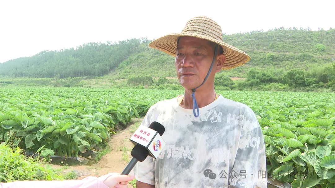 文章配圖