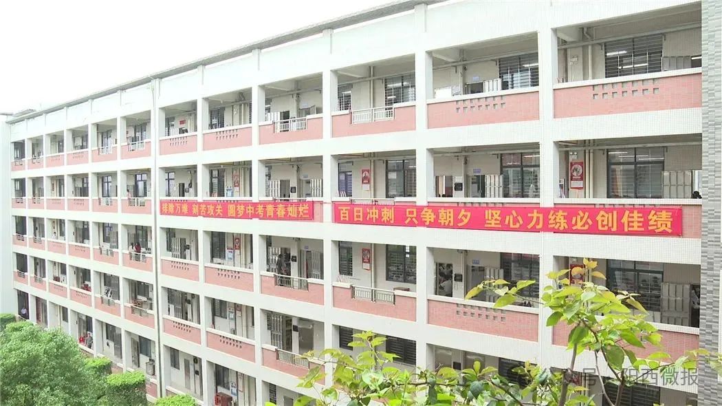 文章配圖