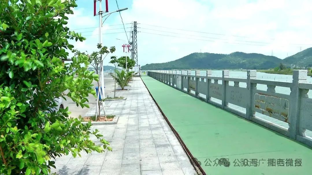 文章配圖