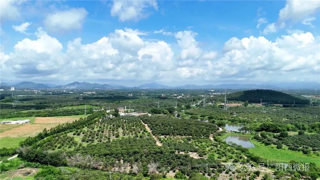 文章配圖